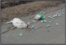 Easter Bunny01.jpg