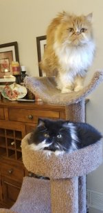 Sparky&Neo.jpg