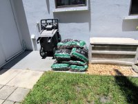 Back Yard 9.jpg