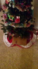 IMG_20181219_173819294.jpg