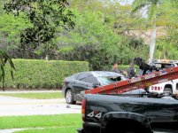 Ficus Removal 20.jpg