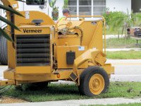 Ficus Removal 21.jpg