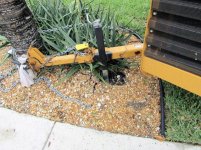 Ficus Removal 23.jpg