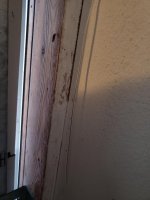 20190116_132110.jpg