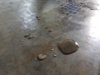 20190521_172733.jpg