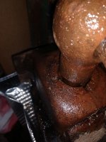 IMG_20190217_132012090.jpg
