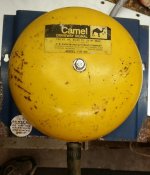 Camel Whole1.jpg