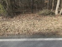 IMG_9674.jpg