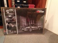 Shelby Picture (Medium).jpg