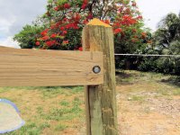 Fence 8.jpg
