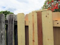Fence 10.jpg