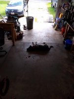 IMG_20181007_113301983.jpg