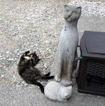 Cleo laying down next to Sara's cement cats.jpg