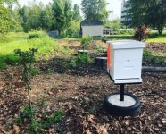MoMT Beehive 1.jpg