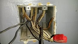 switch1.jpg
