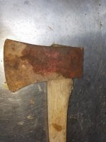 20190430_094636.jpg