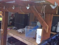 IMG_2419.jpg IMG_2419.jpg