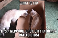 new box.jpg
