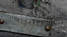 DSC_0433.jpg