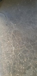 20190513_094503.jpg