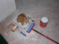 Paint Tray 02.jpg