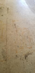 20190513_093608.jpg