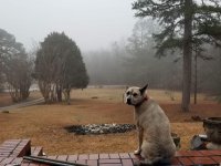 20190211_075003.jpg 20190211_075003.jpg