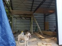 20190502_190734.jpg