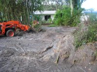 16 Clearing old stumps (Large) (Medium).JPG