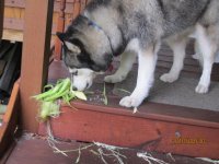 IMG_0265.jpg