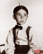 Alfalfa01.jpg Alfalfa01.jpg
