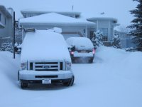 jan2010 004.jpg