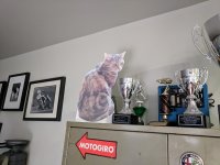 IMG_20181116_104316.jpg