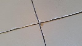 20190301_145014.jpg