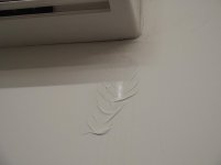 20190601-15.jpg 20190601-15.jpg