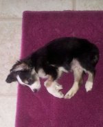 20190325_133355.jpeg