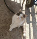 411 Cleo cute pic 2.jpg