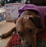 IMG_20181221_105003.jpg
