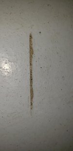 20190302_141555.jpg