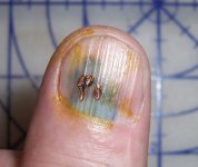 THUMB.jpg
