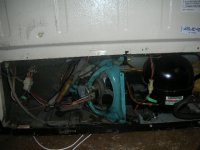 DSCN5409.JPG
