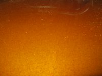 IMG_2420.jpg IMG_2420.jpg
