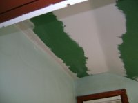 DSC01205.jpg