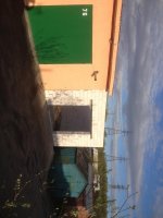 IMG_1176.jpg