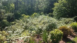 20190526_090257.jpg