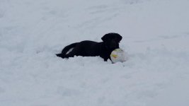 20190113_170018.jpg
