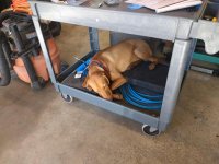 DukeGarageBed.jpg