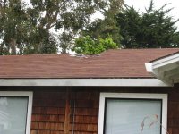 Roof June 2009 215.jpg