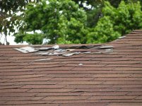 Roof June 2009 214.jpg