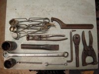 Flea 03-03-19.comp.jpg